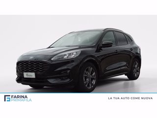 FORD Kuga 2.0 ecoblue st-line x 2wd 120cv auto