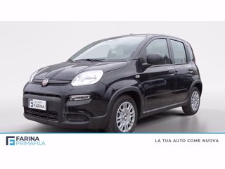 FIAT Panda 1.0 firefly hybrid s&s 70cv