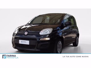 FIAT Panda III 2021 - Panda 1.0 firefly hybrid s&s 70cv 5p.ti
