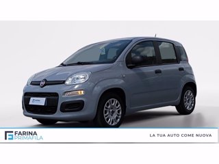 FIAT Panda 1.2 easy easypower gpl 69cv my19