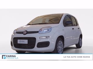 FIAT Panda 1.0 firefly hybrid s&s 70cv