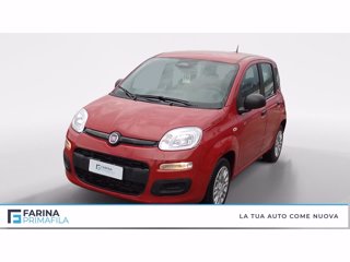 FIAT Panda 1.0 firefly hybrid s&s 70cv