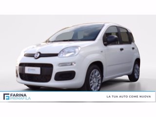 FIAT Panda 1.0 firefly hybrid s&s 70cv