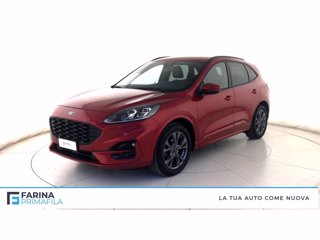 FORD Kuga 1.5 ecoblue st-line 2wd 120cv auto