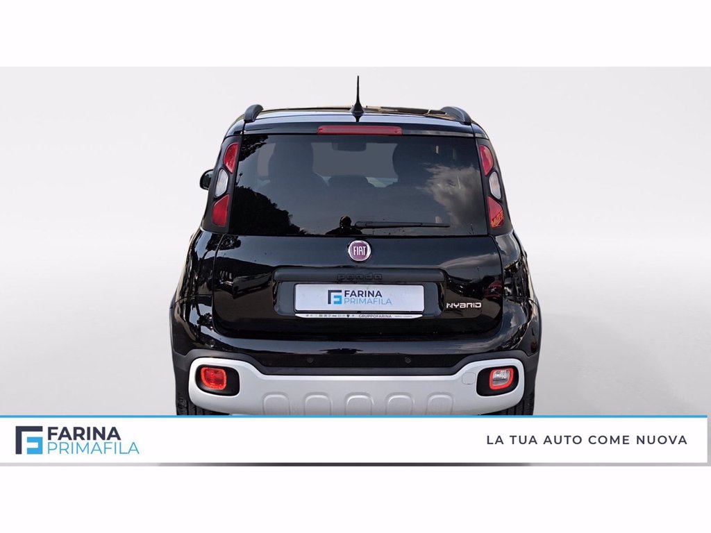 FIAT Panda Pandina III 2024  Pandina 1.0 firefly hybrid s&s 70c