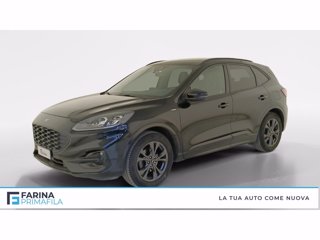 FORD Kuga 1.5 ecoblue st-line x 2wd 120cv auto