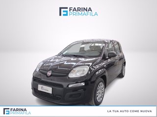 FIAT Pandina 1.0 firefly hybrid icon s&s 70cv 5p.ti