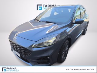 FORD Kuga 2.5 full hybrid st-line x 2wd 190cv cvt