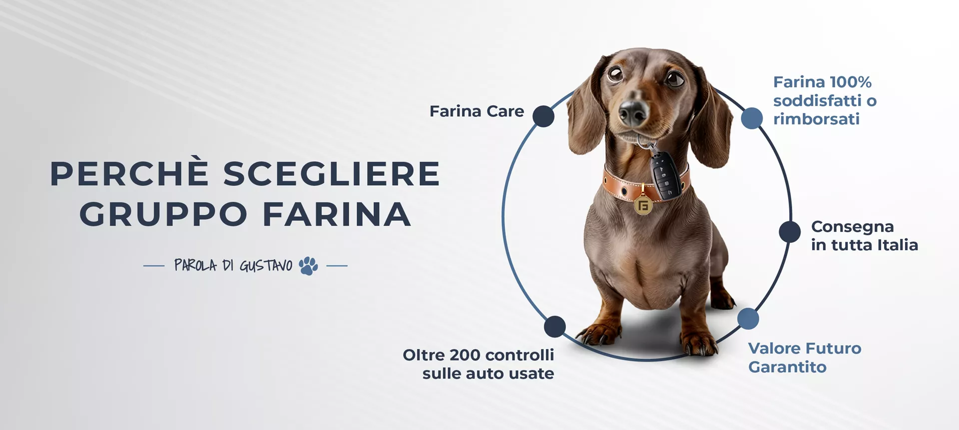 Perché scegliere gruppo farina