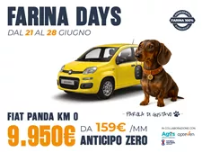 Panda Km0