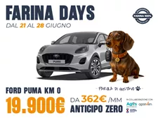 Puma Km0