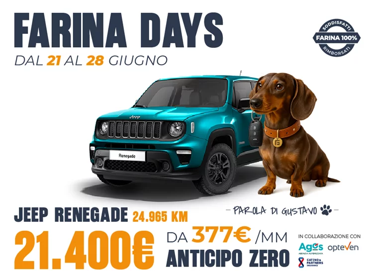 Jeep Renegade 1.6 mjt Limited 2wd 130cv con 24.965 km