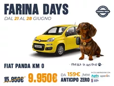 Panda Km0