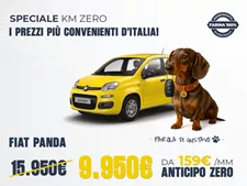 Panda Km0