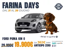 Puma Km0