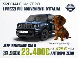 Jeep Renegade Km0