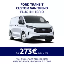 Transit Custom Van Trend