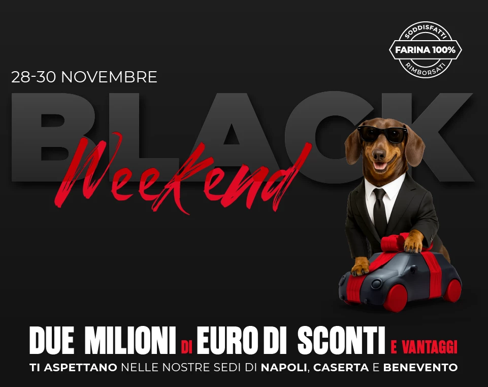 La storia del Gruppo Farina