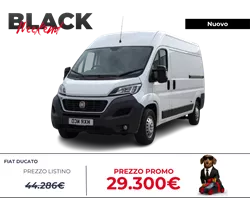 Ducato
