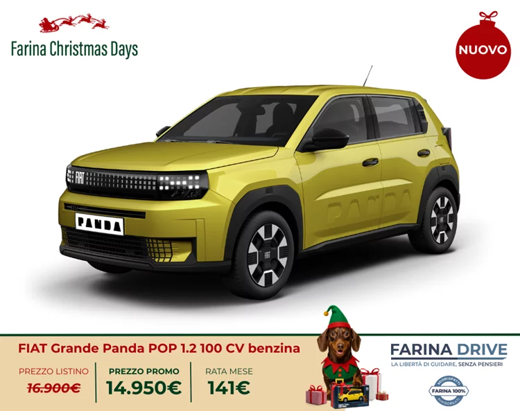 Grande Panda benzina