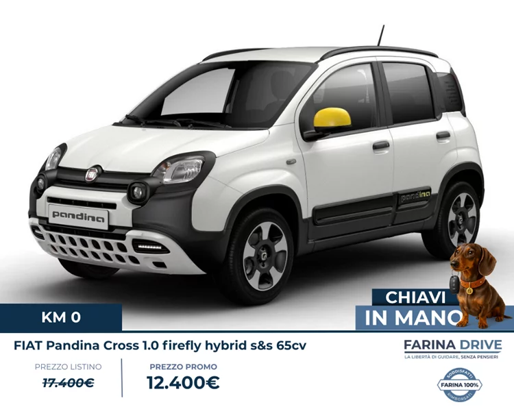 KM0 - Pandina Cross 1.0 firefly hybrid s&s 65cv