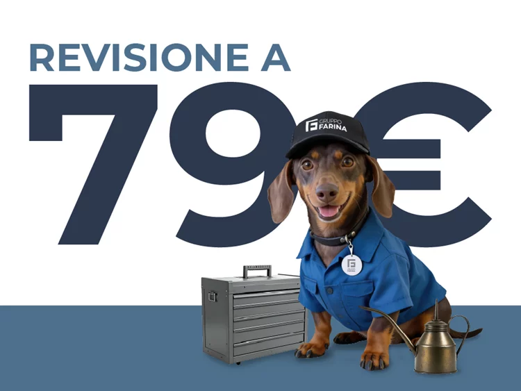 Offerta Revisione auto