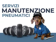 Servizi di Manutenzione Pneumatici
