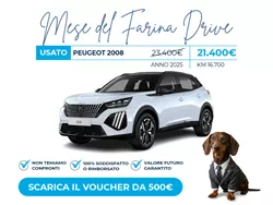 Peugeot 2008 Usata