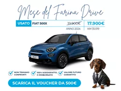 FIAT 500X Usata