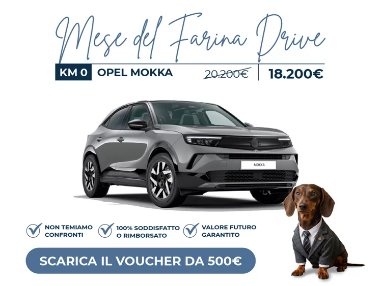 KM0 - Mokka