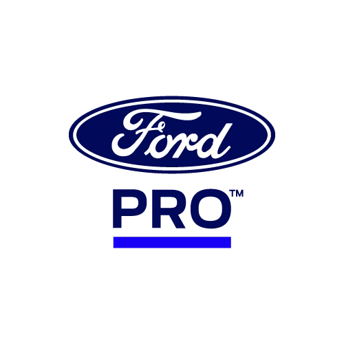 Ford Transit Center Napoli
