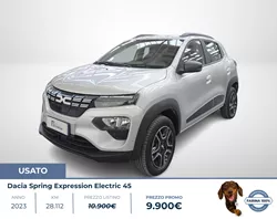 Dacia Spring Usato