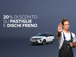 Pastiglie e dischi freno