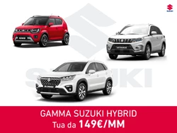 Gamma Suzuki Hybrid