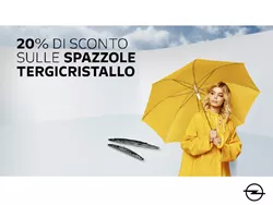 Spazzole tergicristallo