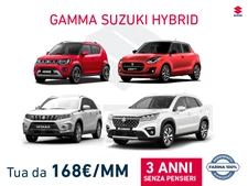 Gamma Hybrid Suzuki