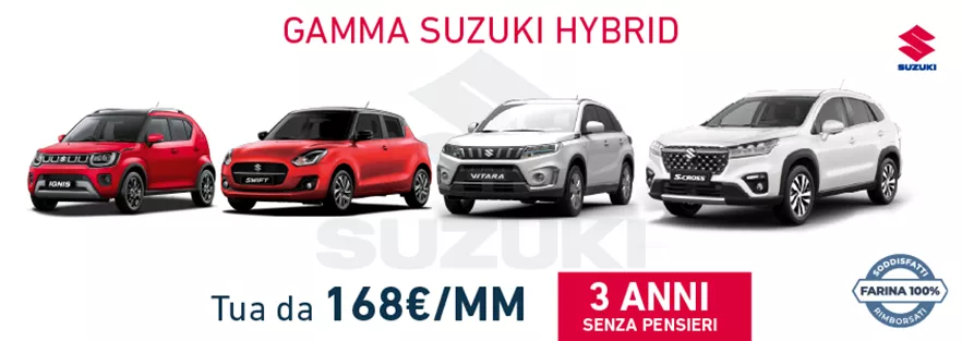 Gamma Hybrid Suzuki