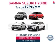 Gamma Hybrid Suzuki