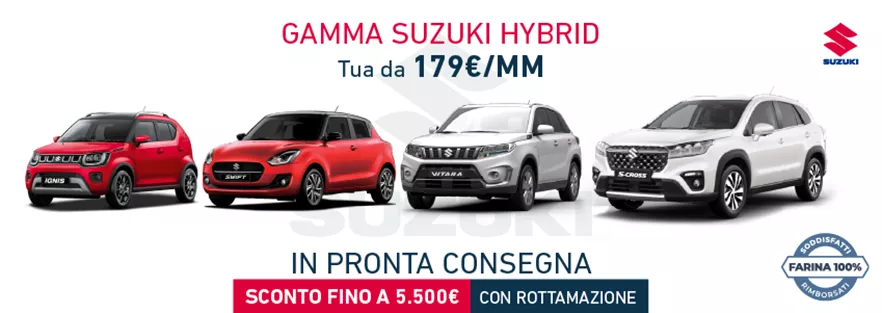 Gamma Hybrid Suzuki