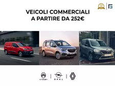 Veicoli commerciali