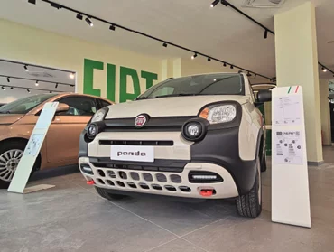 Fiat Farina Napoli